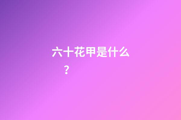 六十花甲是什么？